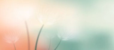 Soyut bulanık yaprak arka planda hafif bir gradyan örgü çizimi ile ilham veriyor. Yumuşak tonlu çiçekli bahar gradyanı.