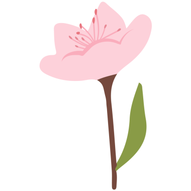 Arka plan, şablon ve çerçeve tasarımı için Japon bahar çiçekleri.