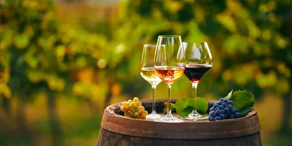Three Glasses White Rose Red Wine Wooden Barrel Vineyard Wide — Stock Photo, Image