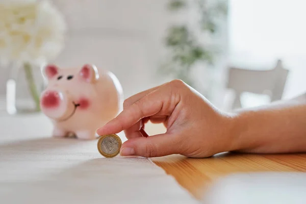 A woman with a one-euro coin and a pig in the background, the concept of saving money