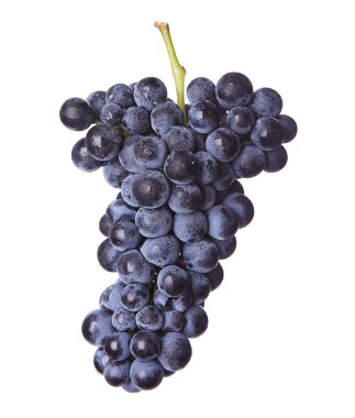 kırmızı şarap taze demet