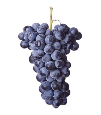 kırmızı şarap taze demet