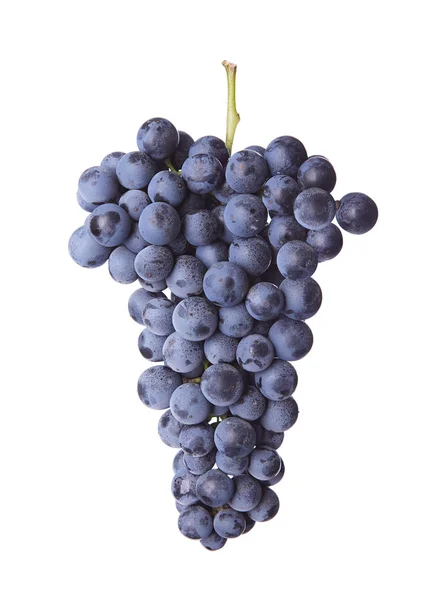 Fresh bunch of red wine — Stock Photo, Image