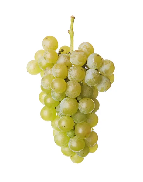 Fresh bunch of grapes of white wine — Stock Photo, Image
