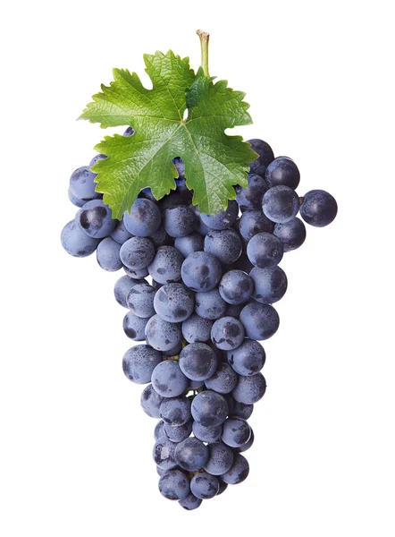 Fresh bunch of red wine — Stock Photo, Image