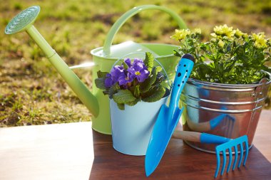 Bahçe aletleri ve çiçekler.