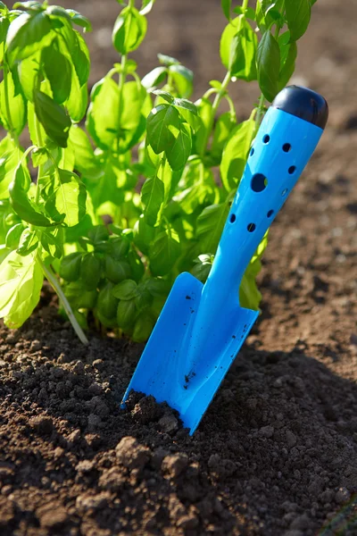 Garden shovel tucked — Stock Photo, Image