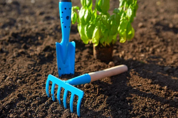 Blue garden tools — Stock Photo, Image