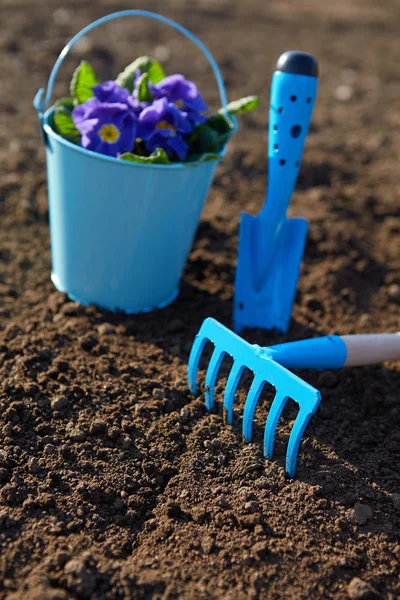 Blue garden tools — Stock Photo, Image
