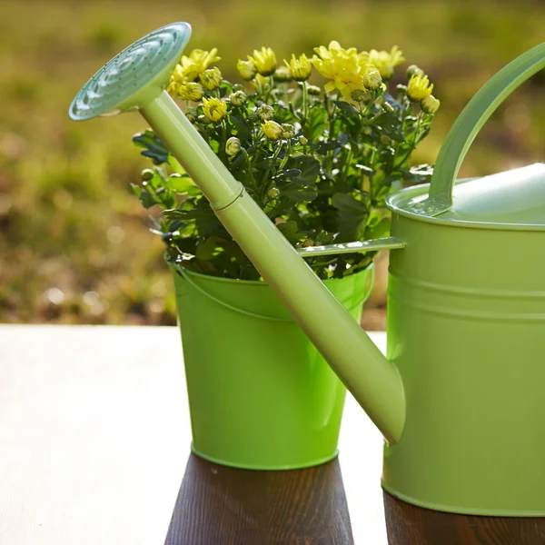 Gardening tools and flower — Stock Photo, Image