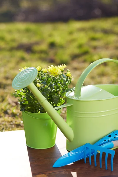 Gardening tools and flower — Stock Photo, Image