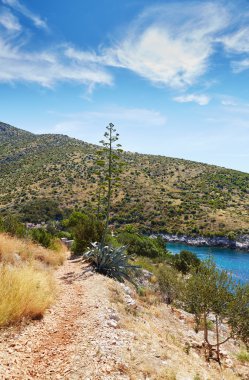 Hvar adası Adriyatik Denizi'nde Körfezi