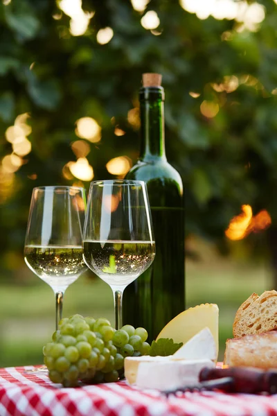 Weißwein und Flasche — Stockfoto