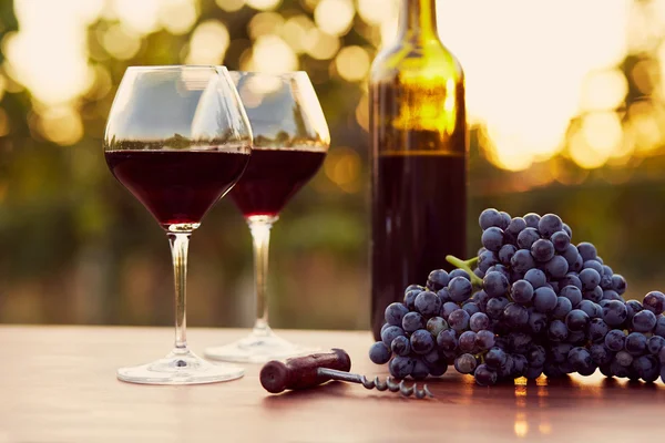 Twee glazen rode wijn. — Stockfoto