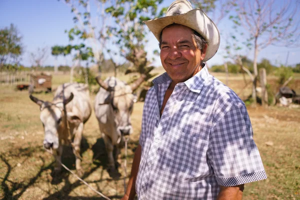 Portrait homme heureux agriculteur au travail avec le boeuf regardant la caméra — Photo