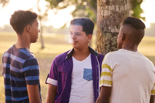 Teenagers In Park Boy Smoking Electronic Cigarette — Stock Photo, Image