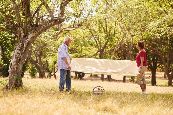 Pensionerad par äldre Man och kvinna gör picknick — Stockfoto