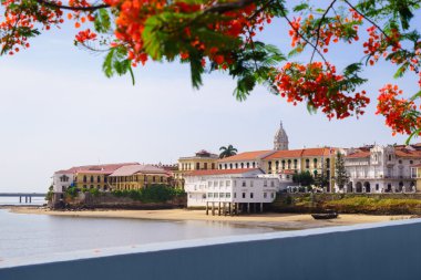 Panama City view old casco viejo antiguo clipart