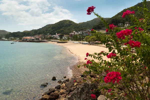 Widok na plażę i kwiaty z Isla Taboga Panama City — Zdjęcie stockowe