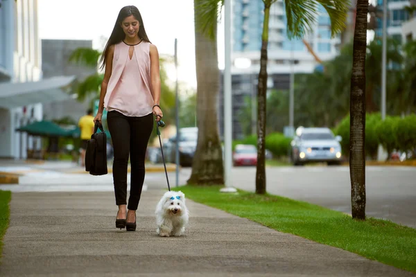 Empresaria viajando a la oficina con su perro — Foto de Stock