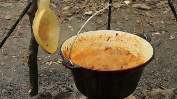 Detailní pohled na vaření guláše v kotlíku — Stock video