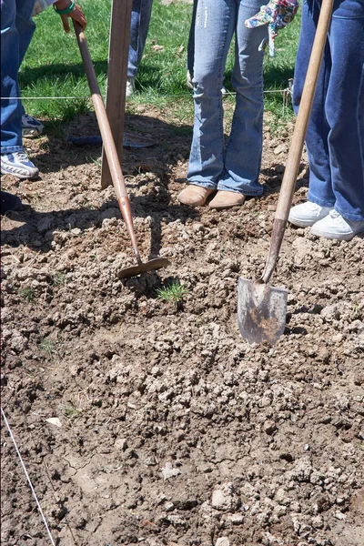 students planting vegetables in camp garden