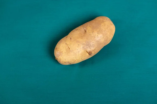 Idaho Russet Potato Solanum Tuberosum Лицензионные Стоковые Фото