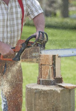 Holden Botanik Bahçesi 'nde Ağaç Bayramı. 27 Nisan 2014, kereste kriko elektrikli testere ile kütük kesme