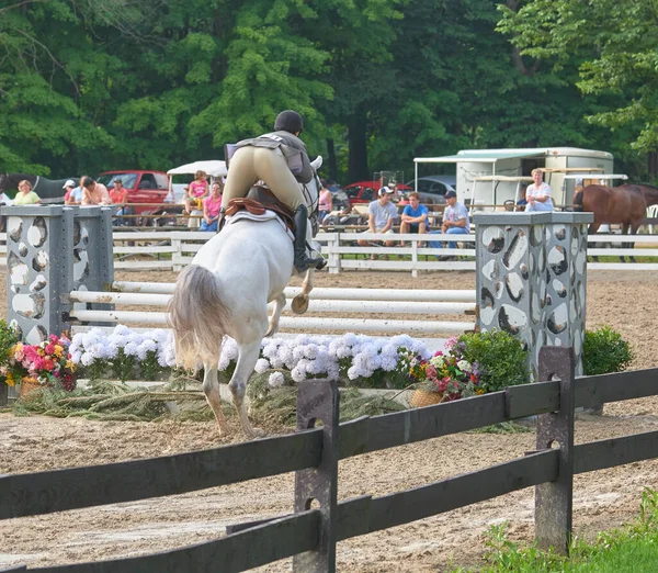馬術競技ジャンプ競技 ライダーと馬のクリア障害物 — ストック写真