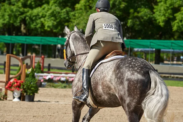 Ryttare Häst Som Närmar Sig Hinder — Stockfoto