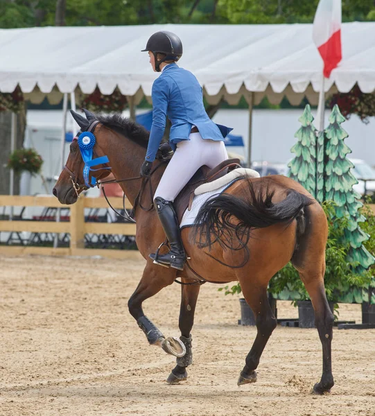 Koń Jeździec Niebieską Wstążką Paradujący Wokół Areny — Zdjęcie stockowe