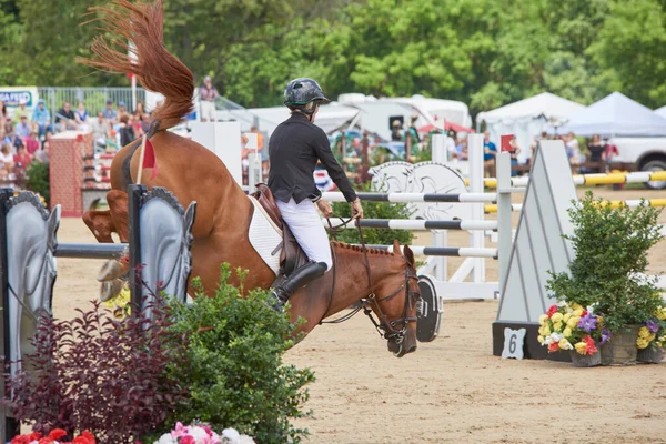 Cavaliere Cavallo Ostacolo Salto Compensazione — Foto Stock