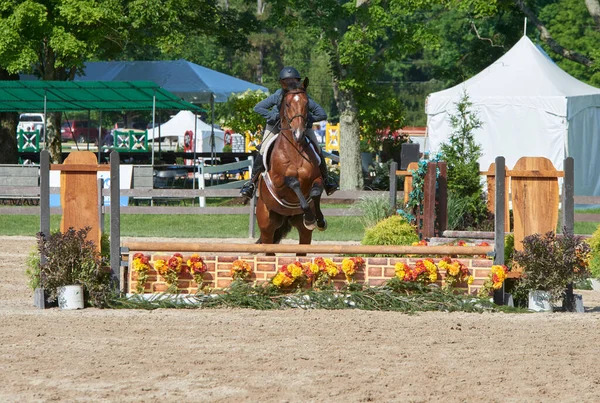 Ruiter Paard Foutloos Springen Obstakel — Stockfoto