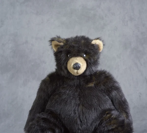 Stuffed Bear — Stock Photo, Image