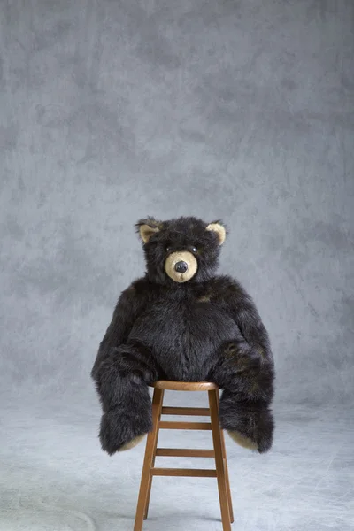 Orso imbalsamato — Foto Stock