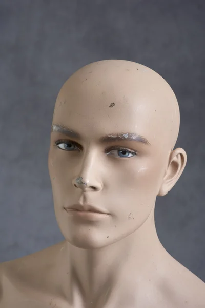 Male Mannequin Stock Image