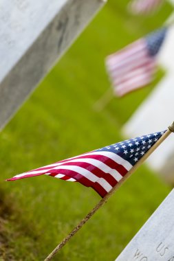 Amerikan bayrakları ile askeri mezarlığı