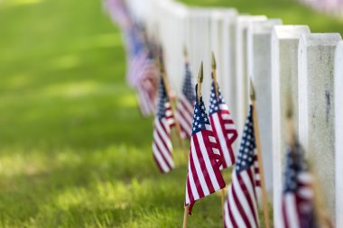 Amerikan bayrakları ile askeri mezarlığı
