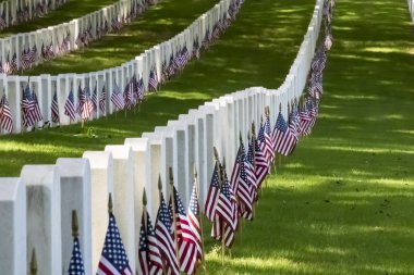Amerikan bayrakları ile askeri mezarlığı