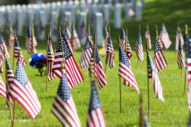 Amerikan bayrakları ile askeri mezarlığı