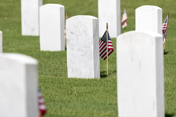 Military Cemetery with American Flags