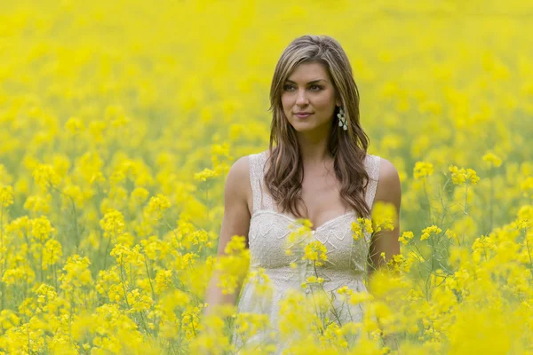 Model op gebied van bloemen — Stockfoto