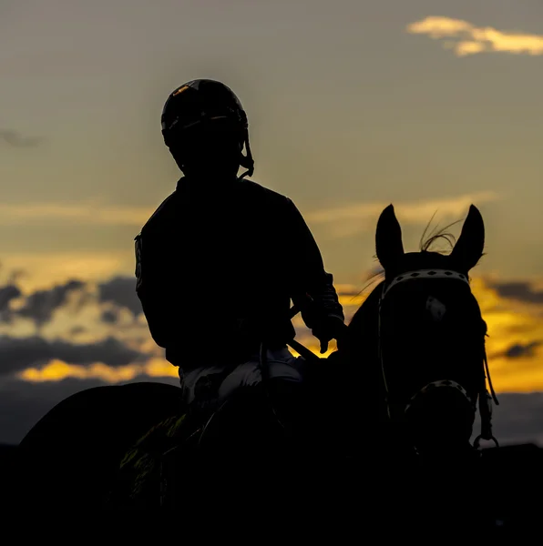 Courses de chevaux compétitives — Photo