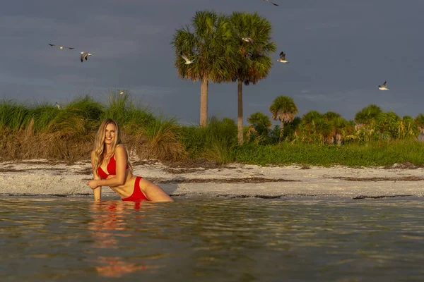 Красивая Блондинка Модель Бикини Наслаждается Погодой Пляже — стоковое фото