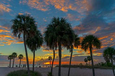 Gün batımında Florida sahilinin manzarası