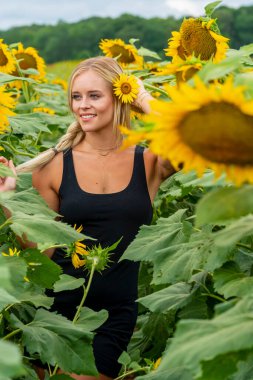 Sarışın bir model, yaz gününün tadını çıkarırken ayçiçeği tarlasında poz veriyor.