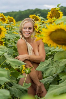 Sarışın bir manken, yaz gününün tadını çıkarırken ayçiçeği tarlasında çıplak poz verir.