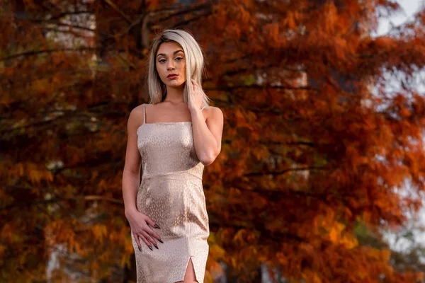 Egy Gyönyörű Fiatal Szőke Modell Pózol Szabadban Miközben Élvezi Őszi — Stock Fotó