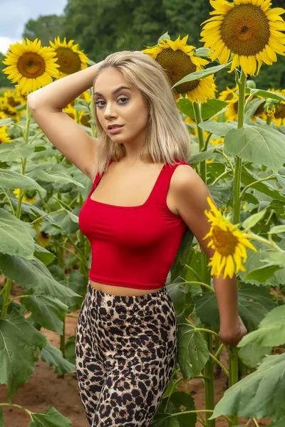 Vacker Ung Blond Modell Poserar Utomhus Ett Fält Solrosor Medan — Stockfoto