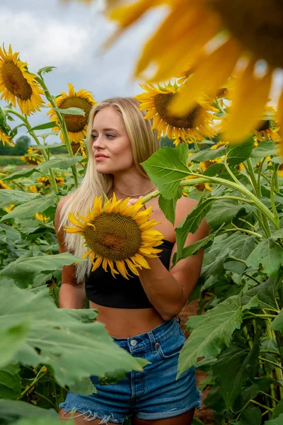 Sarışın bir model, yaz gününün tadını çıkarırken ayçiçeği tarlasında poz veriyor.